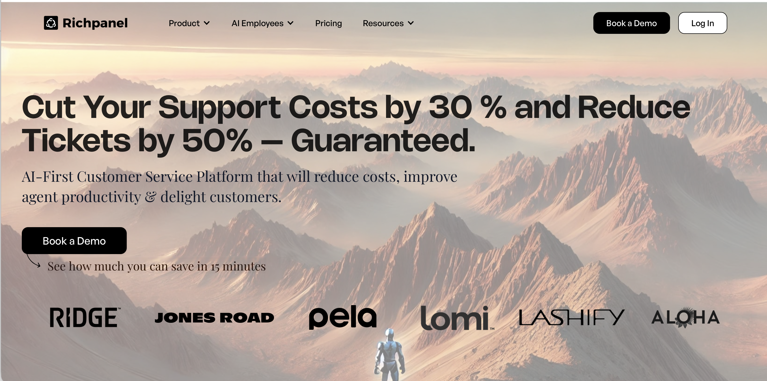 richpanel-as-an-ecommerce-helpdesk